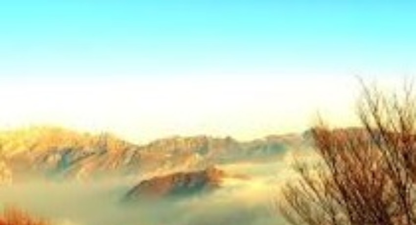 关于我们 - 大象传媒 - 深耕传媒多年的创意团队图鉴